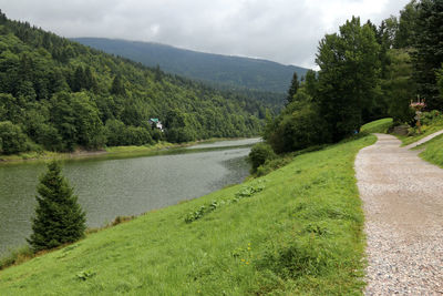 Scenic view of green landscape against sky
