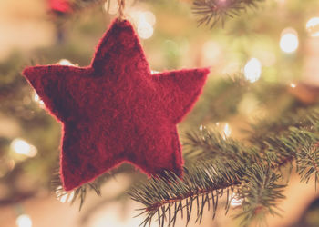Close-up of christmas tree