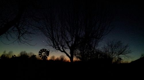 Silhouette of bare trees at sunset