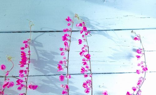 Close-up of multi colored hanging on clothesline