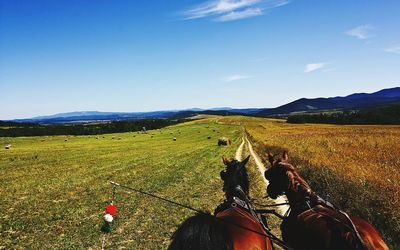 Scenic view of landscape against sky