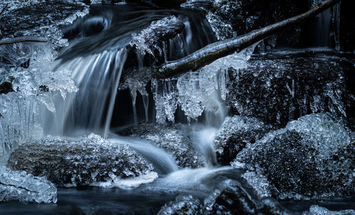 Scenic view of waterfall in forest