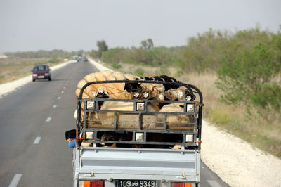 Cars on road