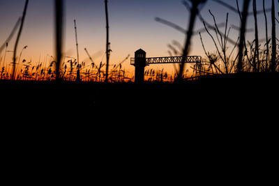 Silhouette plants against sky during sunset