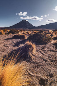 Scenic view of desert against sky