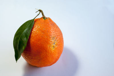 Close-up of orange fruit against white background