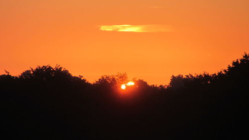 Silhouette trees against sky during sunset