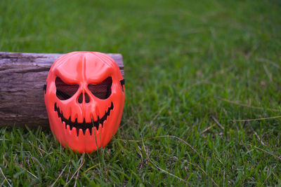 Close-up of pumpkin on field