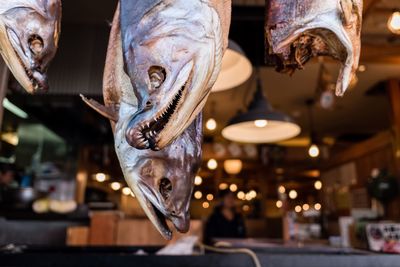 Dried fish hanging outside store for sale