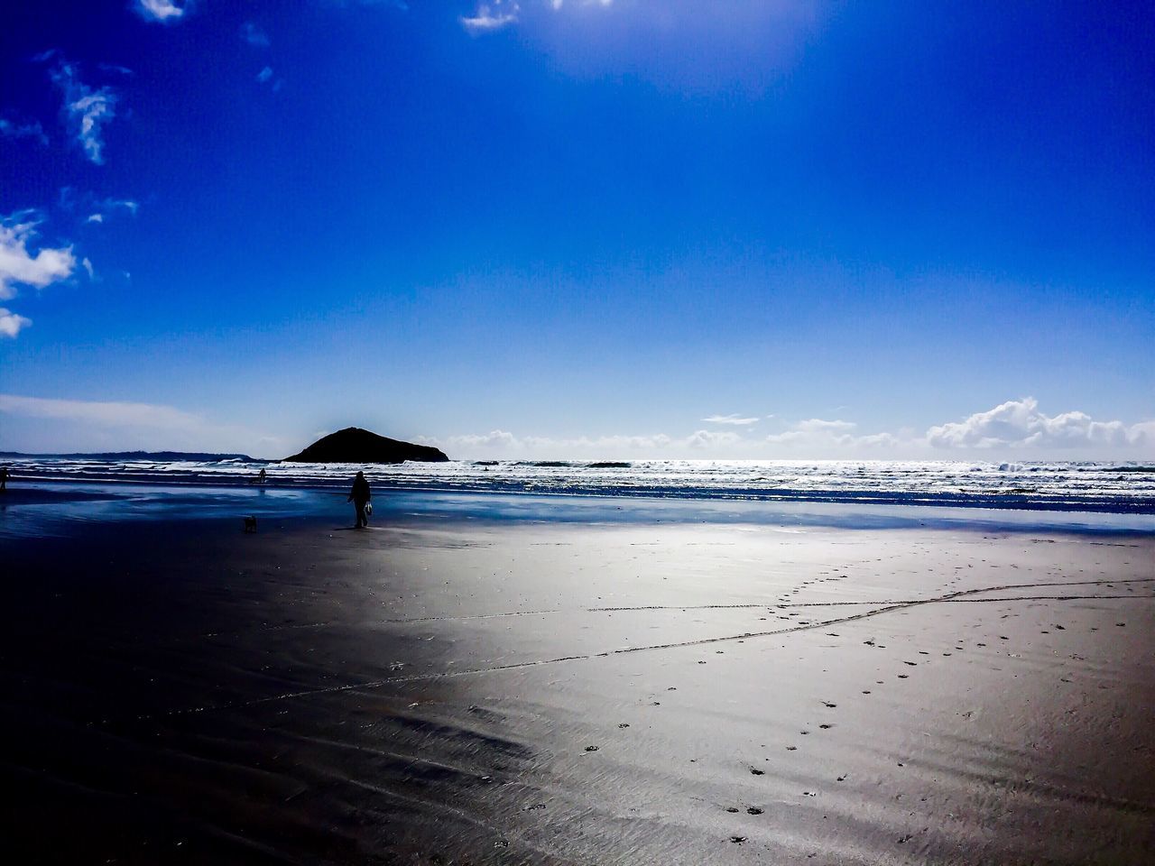 Tofino