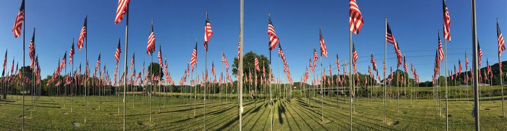 View of trees on field against blue sky