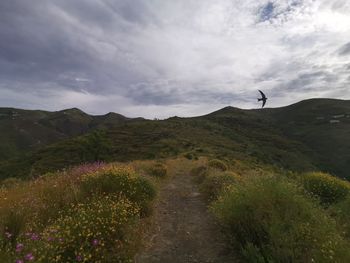 Man standing on mountain against sky