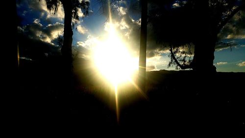 Sun shining through trees