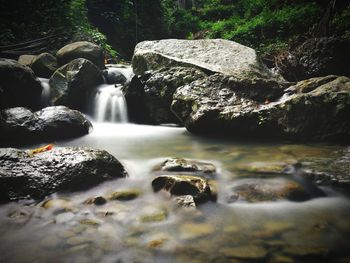 Scenic view of waterfall in forest