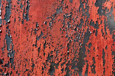 Full frame shot of weathered wall