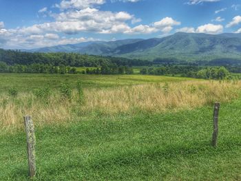 Scenic view of landscape against sky