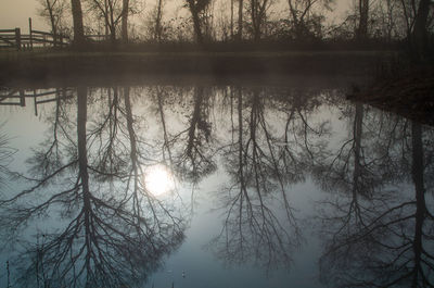 Reflection of silhouette trees in lake against sky