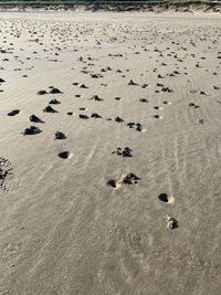 High angle view of footprints on sand at beach