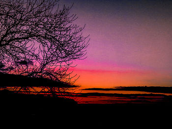 Silhouette of trees at sunset