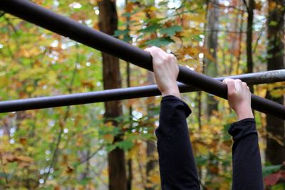 Cropped woman holding jungle gym in forest