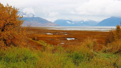 Scenic view of landscape against sky