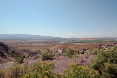 Scenic view of landscape against clear sky