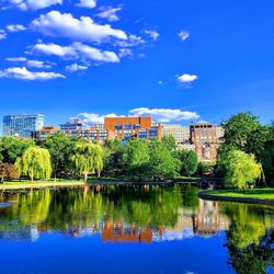 Reflection of buildings and trees in lake