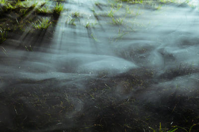 Close-up of water flowing in forest