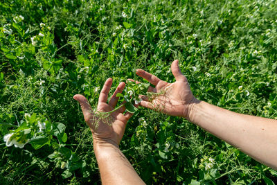 Cropped image of person against plants