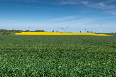 Scenic view of field against sky