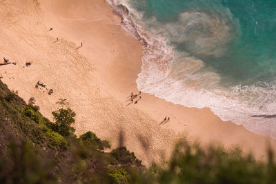 High angle view of trees on beach