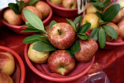 Close-up of apples on plant