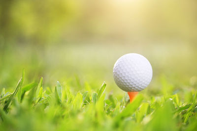 Close-up of golf ball on field