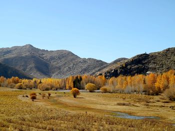 Scenic view of field and mountains against clear blue sky