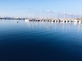 Sailboats in marina at harbor against blue sky