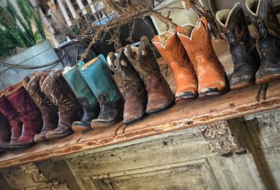 Row of trees in the dark