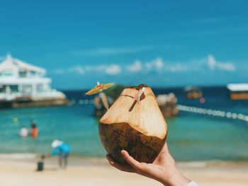 Close-up of hand holding leaf on beach