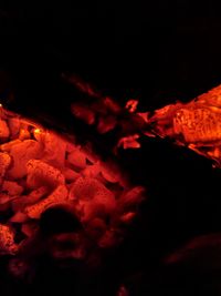 Close-up of illuminated bonfire against black background