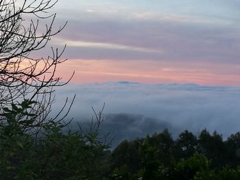 Scenic view of tree mountains against sky during sunset