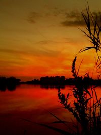 Scenic view of lake at sunset