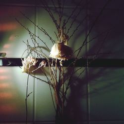 Low angle view of illuminated electric lamp