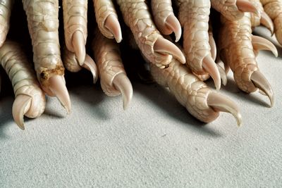 Low section of people