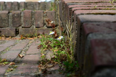 Close-up of stone wall