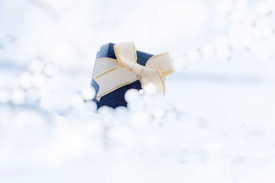 Close-up of gift on fake snow