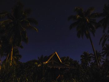 Low angle view of coconut palm trees against sky at night