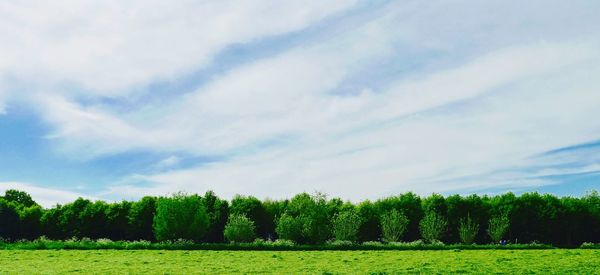 Scenic view of field against cloudy sky