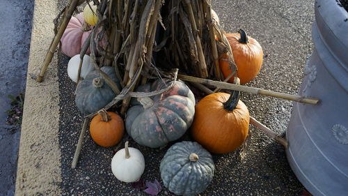 High angle view of pumpkins