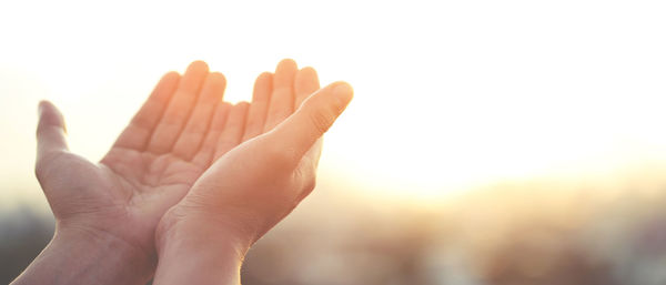 Cropped image of hand against white background