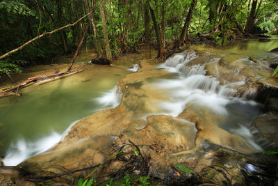 Stream flowing through rocks in forest