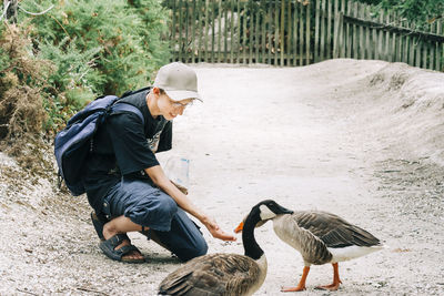 Young woman feeding canada geese